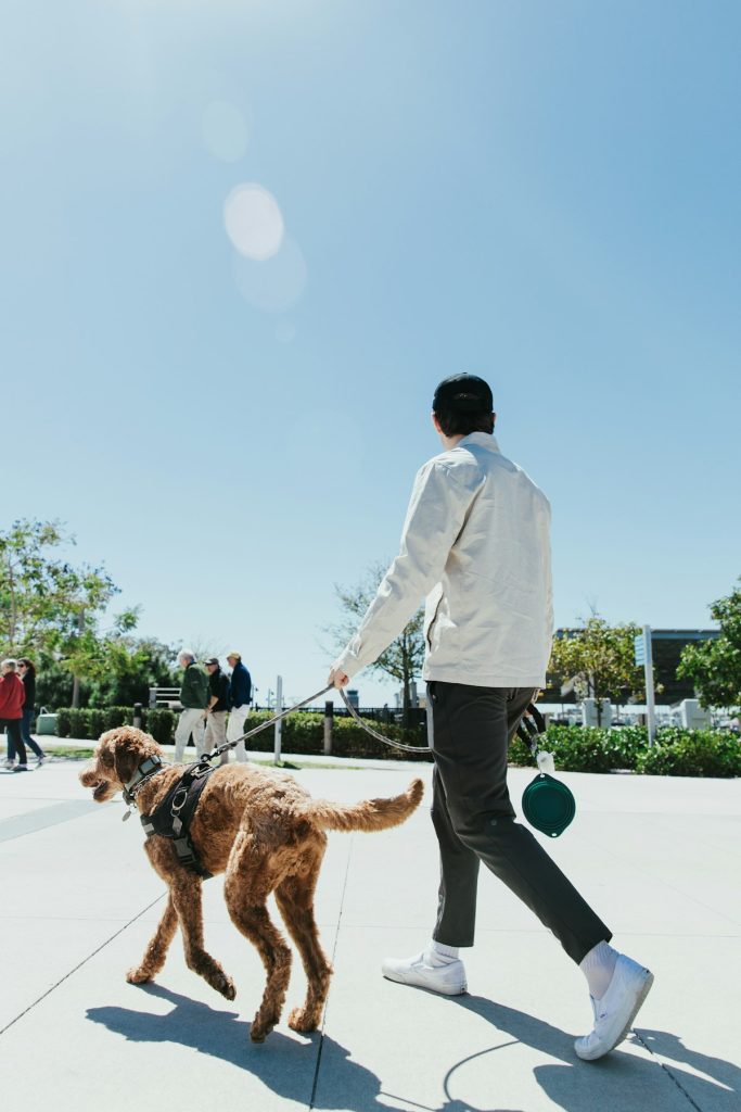 How to Order a Dog Leash Printed With Your Dog’s Face and Name